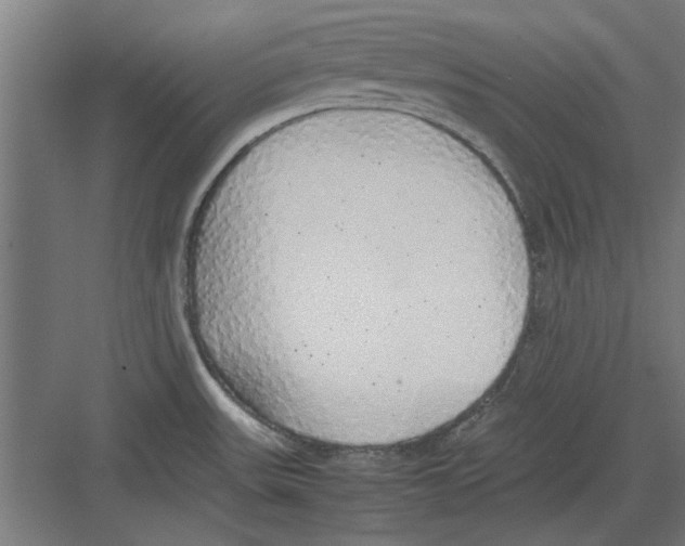 X0000082141531200702162130