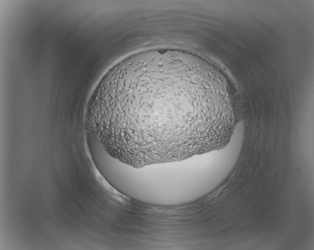 X0000082141532200702162130