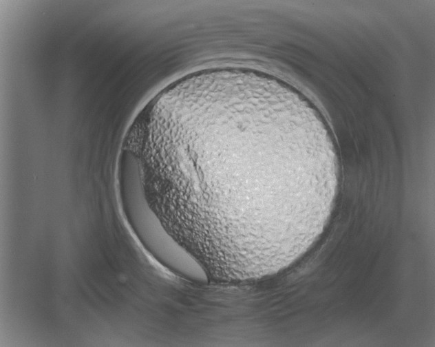 X0000082141533200702162130