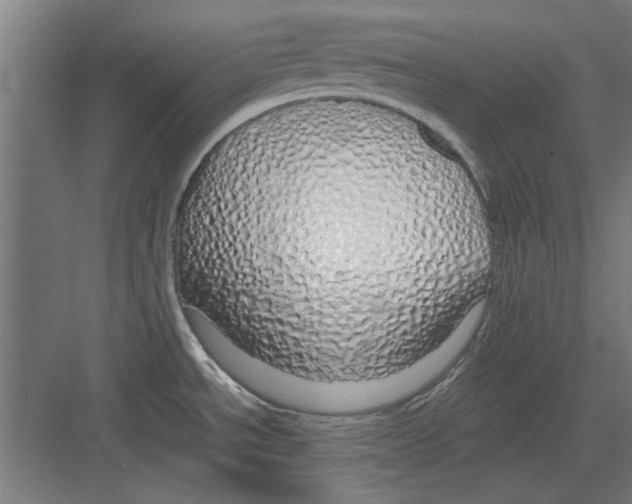 X0000082141534200702162130