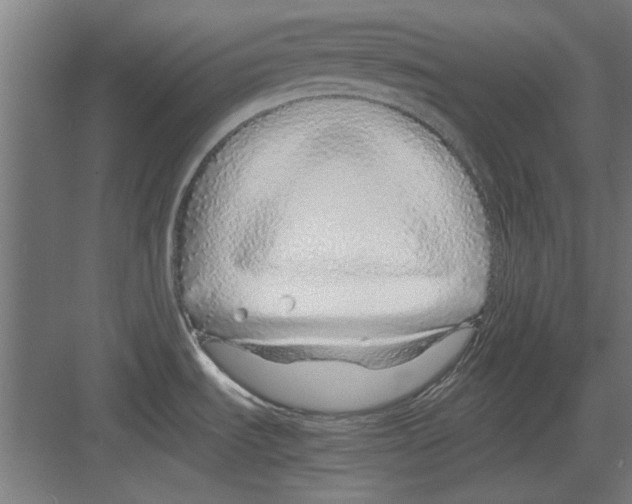 X0000082141535200702162130