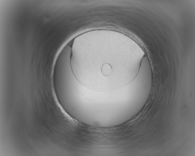 X0000082141536200702162130