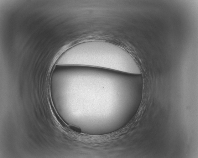 X0000082150003200701191035