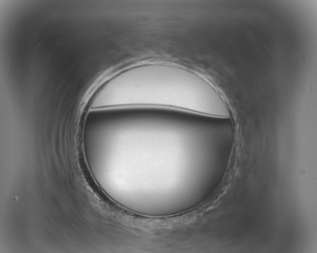 X0000082150007200701191035