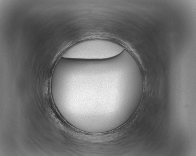 X0000082150010200701191035