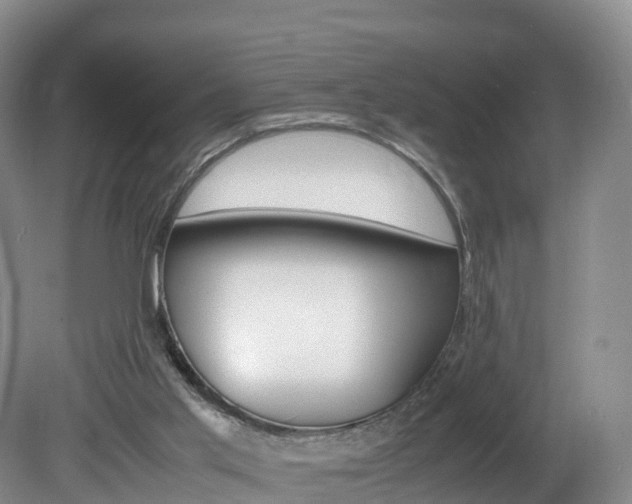 X0000082150013200701191035