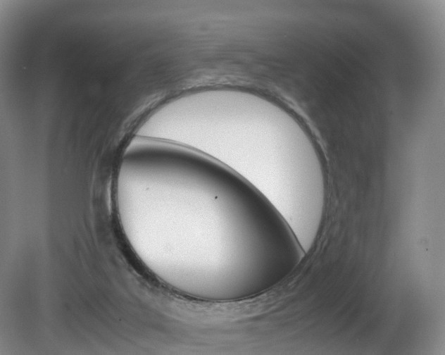 X0000082150019200701191035