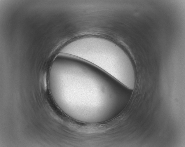 X0000082150020200701191035
