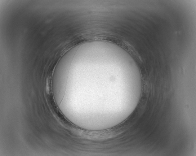 X0000082150026200701191035