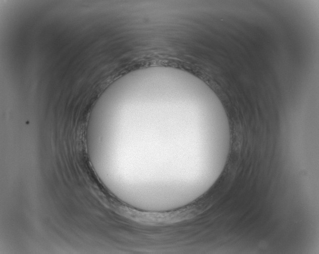 X0000082150034200701191035