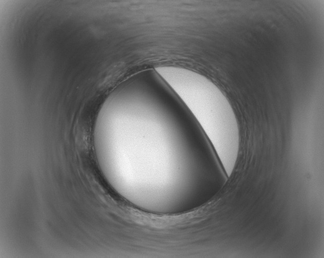 X0000082150039200701191035