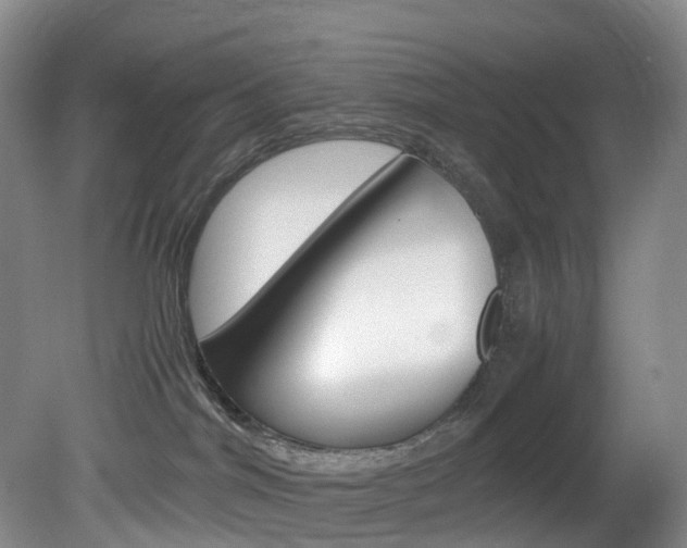 X0000082150044200701191035