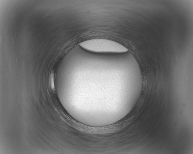 X0000082150046200701191035