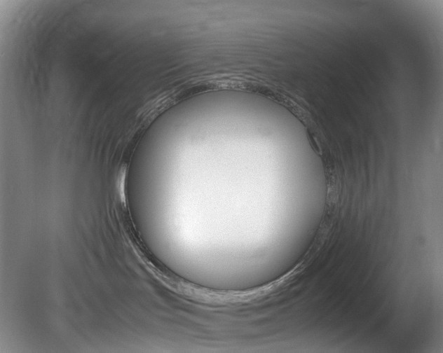 X0000082150047200701191035