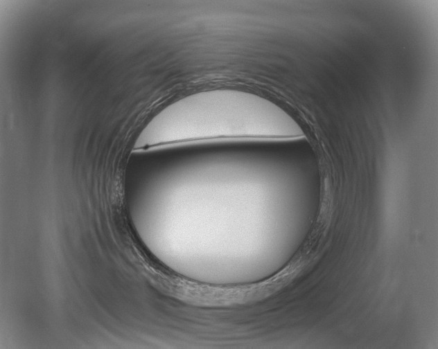 X0000082150048200701191035