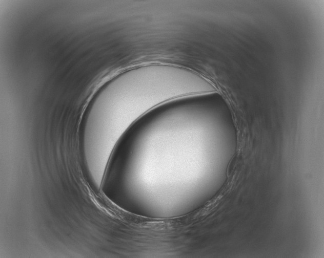 X0000082150050200701191034
