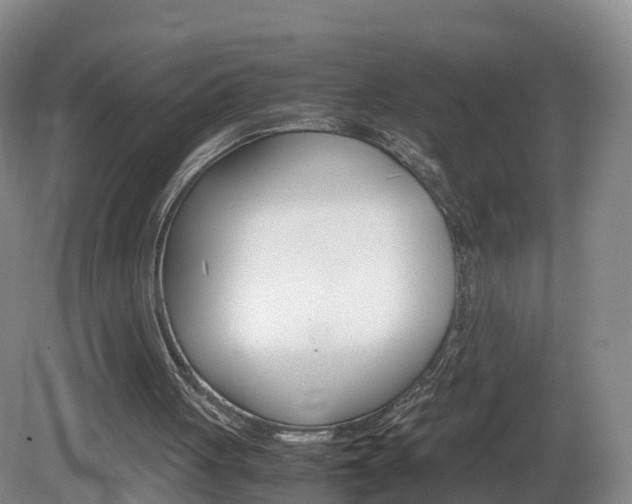 X0000082150051200701191034