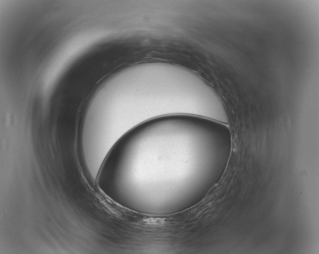 X0000082150052200701191034