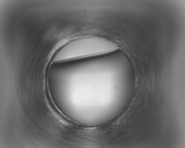 X0000082150054200701191034