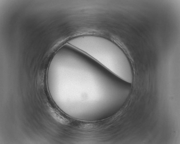 X0000082150058200701191034