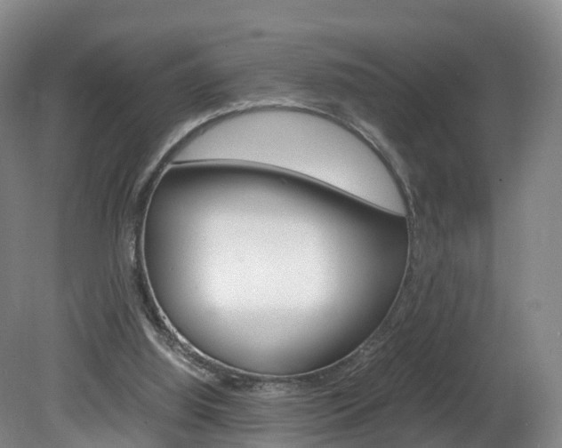 X0000082150060200701191034