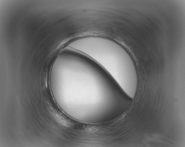 X0000082150062200701191034