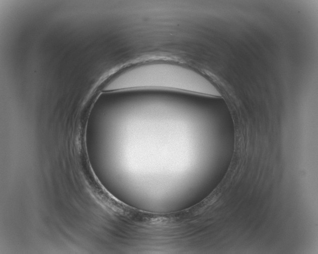 X0000082150064200701191034