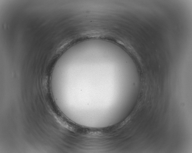X0000082150066200701191034
