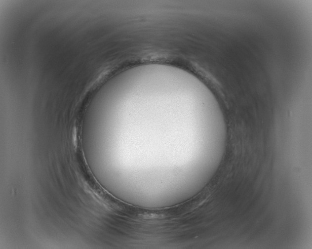 X0000082150067200701191034