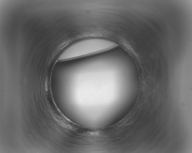 X0000082150068200701191034
