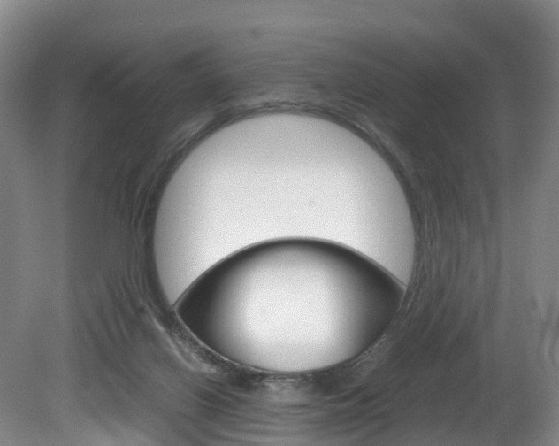 X0000082150070200701191034