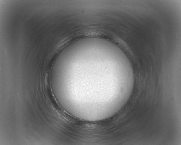 X0000082150071200701191034