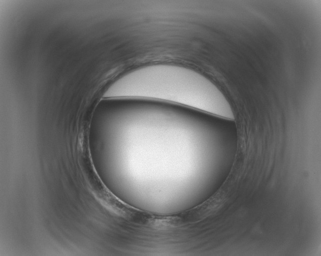 X0000082150072200701191034