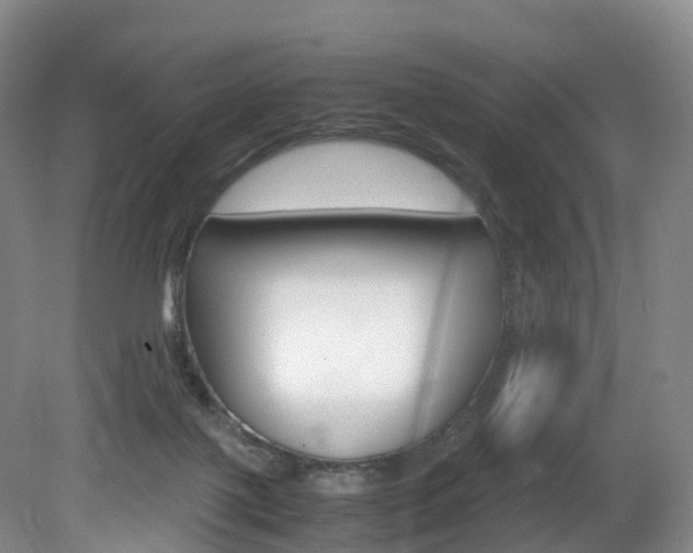 X0000082150075200701191034
