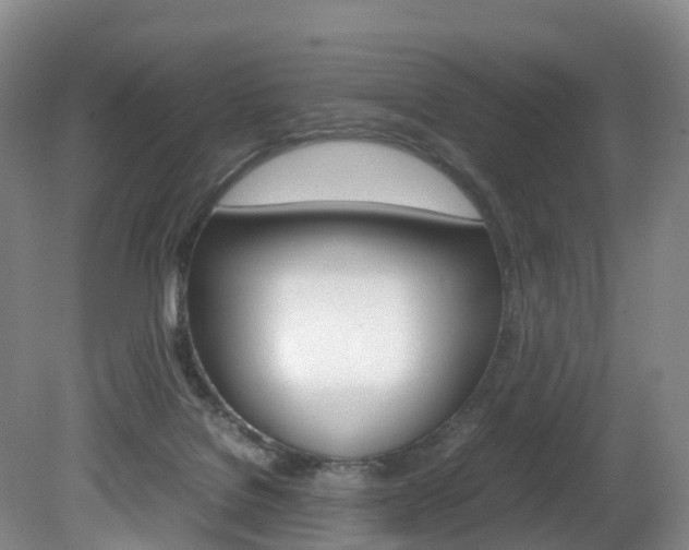 X0000082150076200701191034