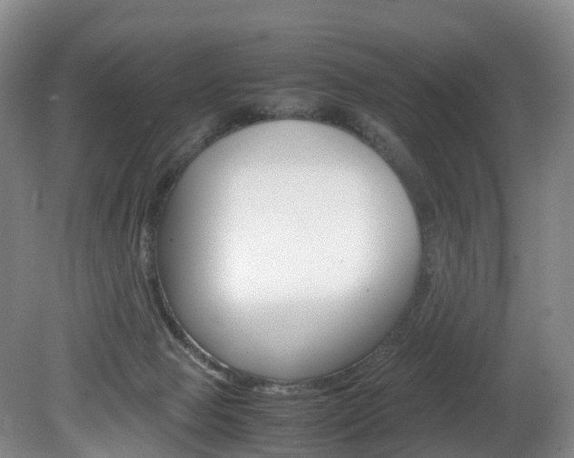 X0000082150077200701191034