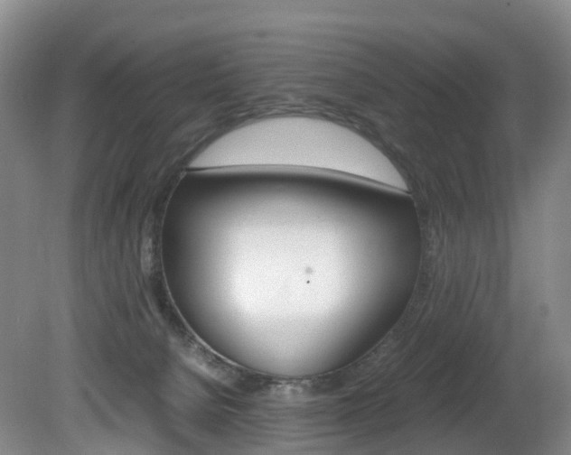 X0000082150080200701191034