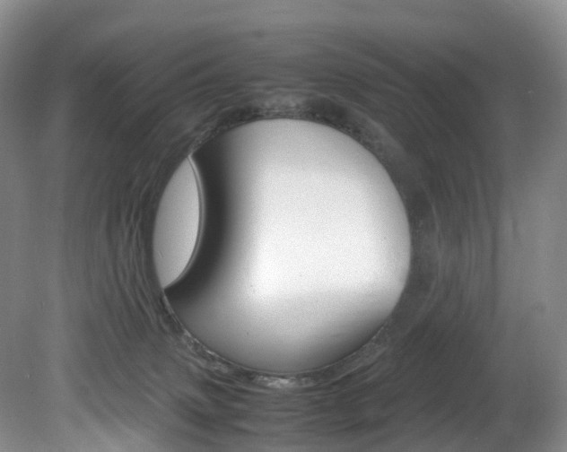 X0000082150083200701191034