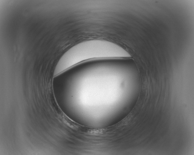 X0000082150084200701191034