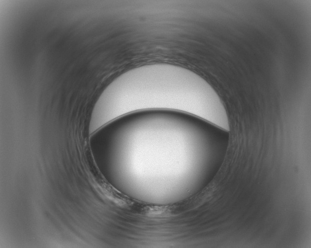 X0000082150088200701191035