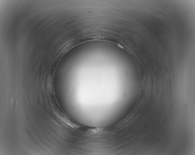 X0000082150092200701191035