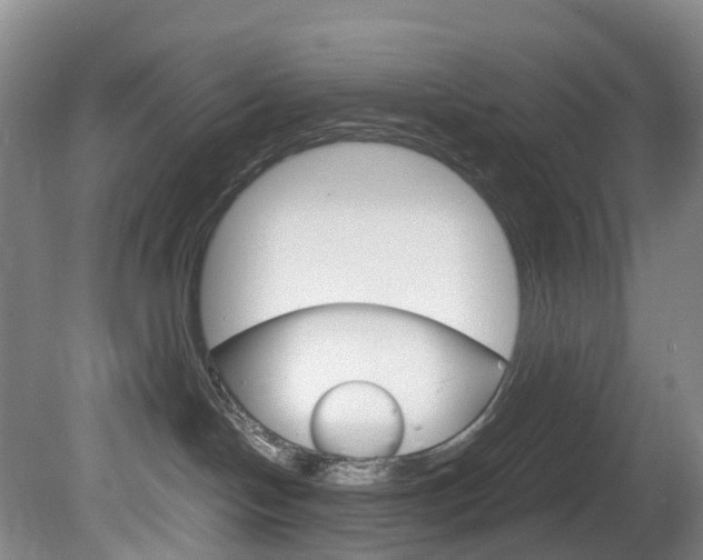 X0000082150094200701191035