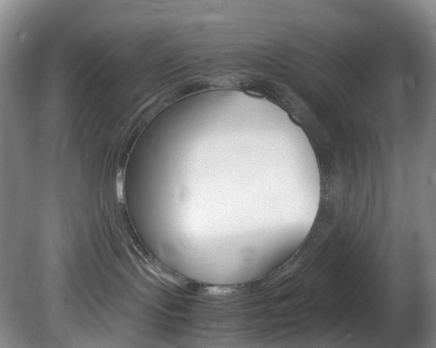 X0000082150095200701191035