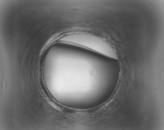 X0000082150101200701191034