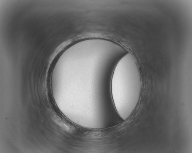 X0000082150104200701191034