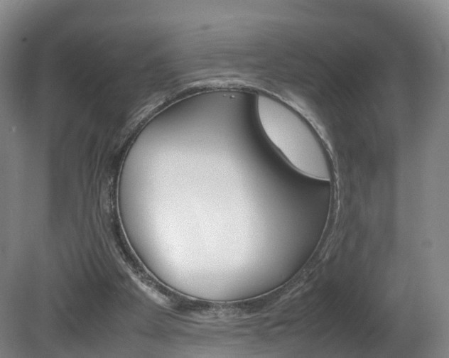 X0000082150105200701191034