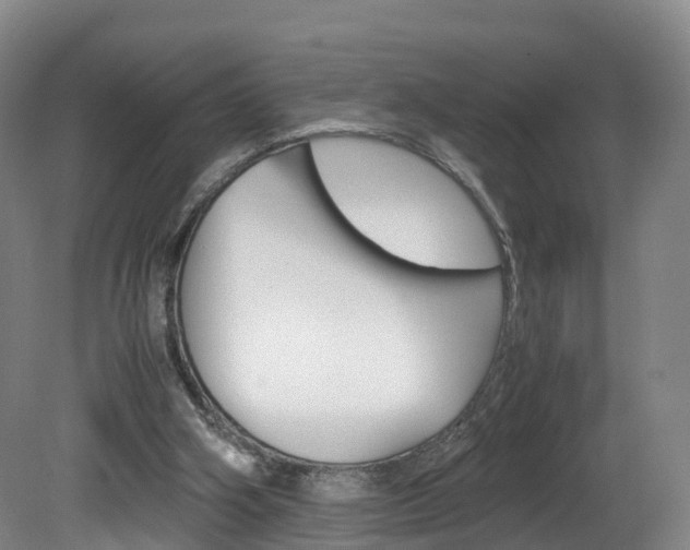 X0000082150106200701191034