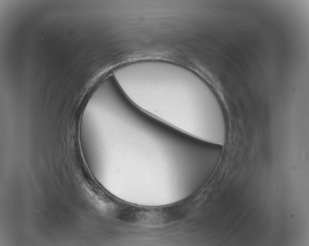 X0000082150107200701191034