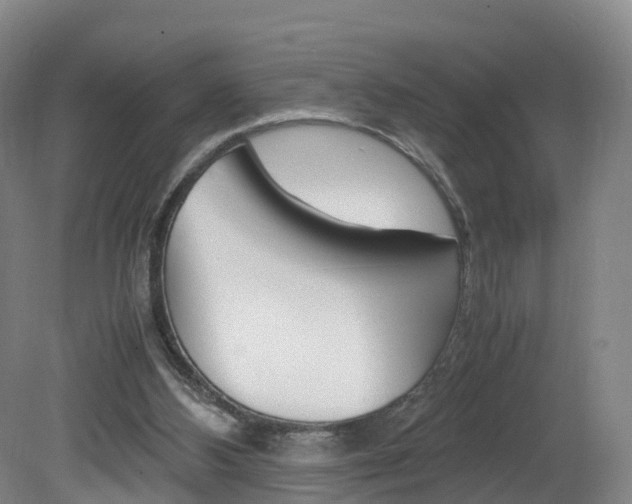 X0000082150108200701191034