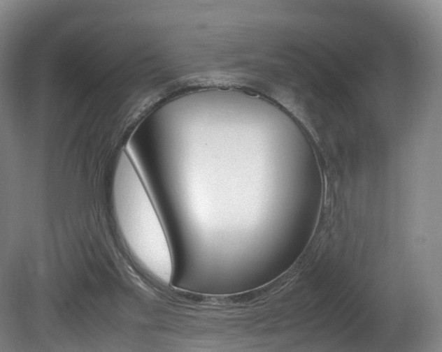 X0000082150109200701191034